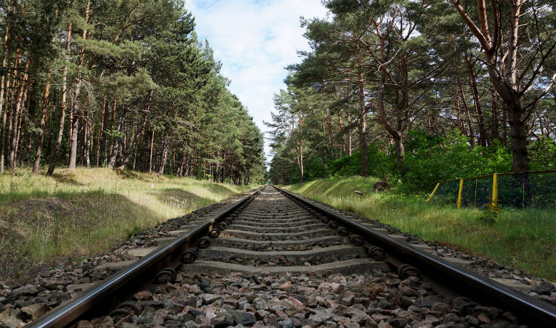 Eisenbahnschiene mitten im Wald von der polnischen Ostsee.