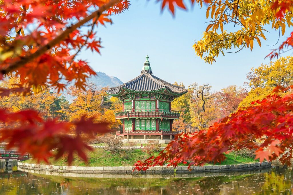 Pavillon Südkorea, roter Ahorn, Feuer Arhorn.   