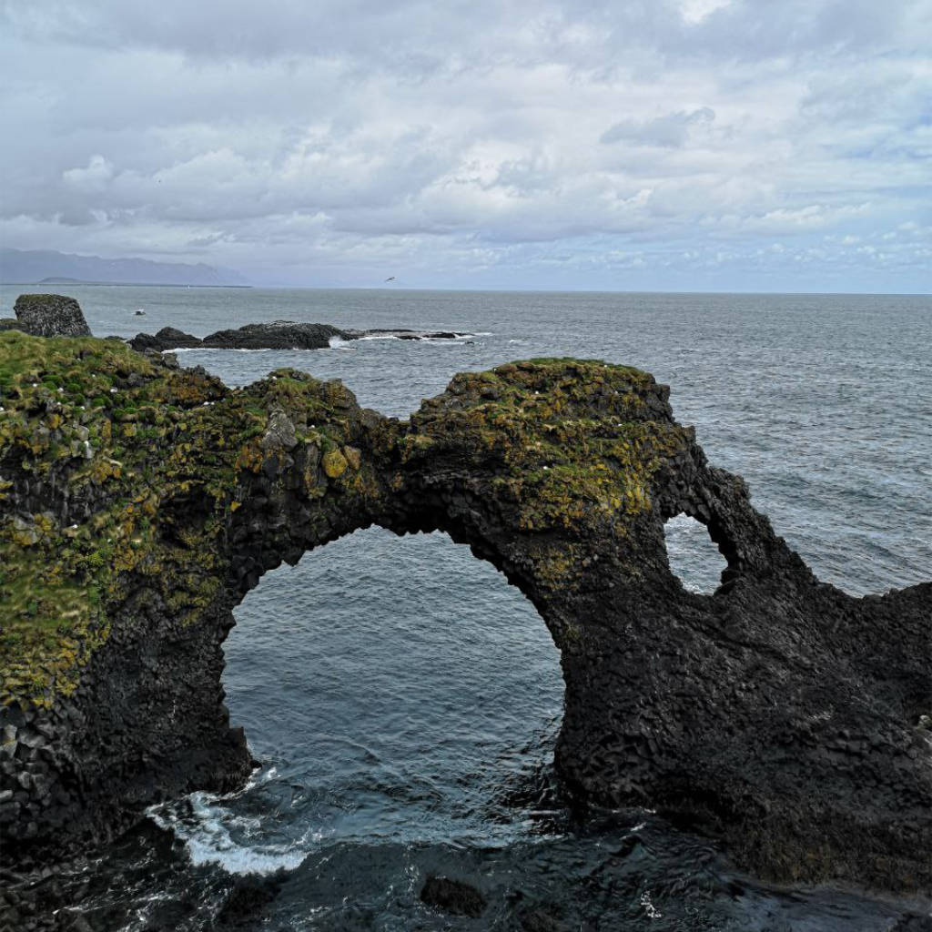 Die Küsten sind Brutstätte für viele Vogelarten auf Island.