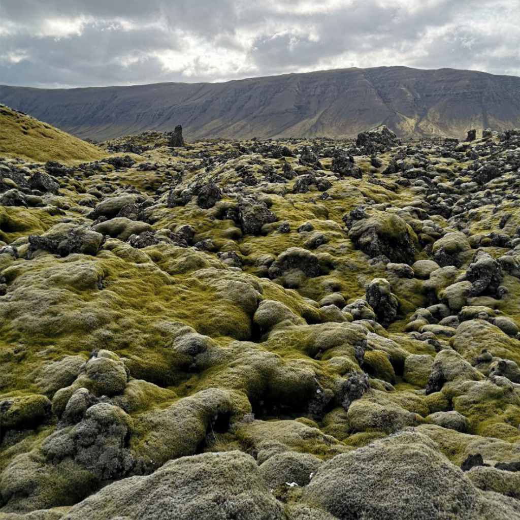 Kilometerweit erstrecken sich die Lavafelder auf Island.