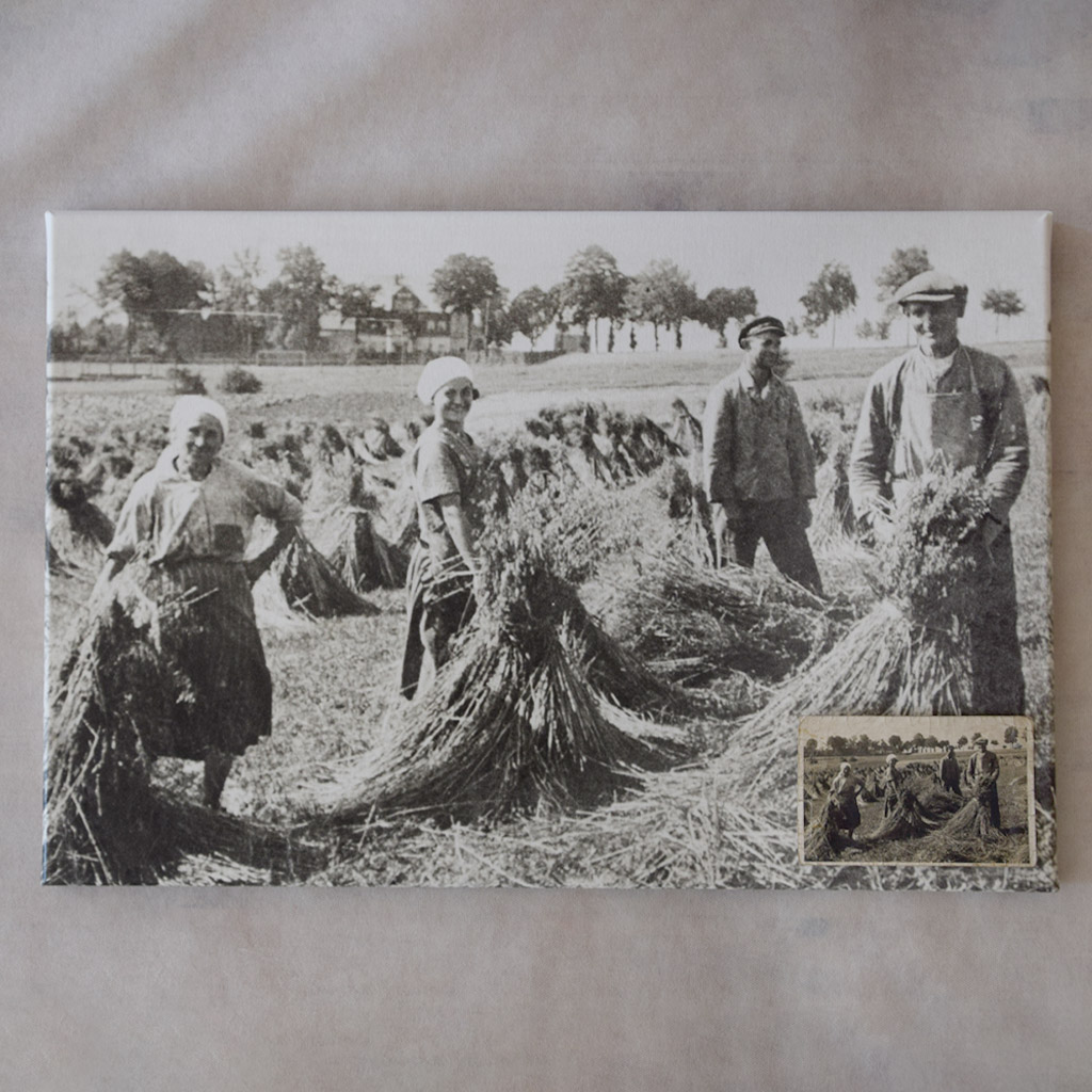 Restaurierung der alten Fotos von meinen Großeltern und Urgroßeltern. 